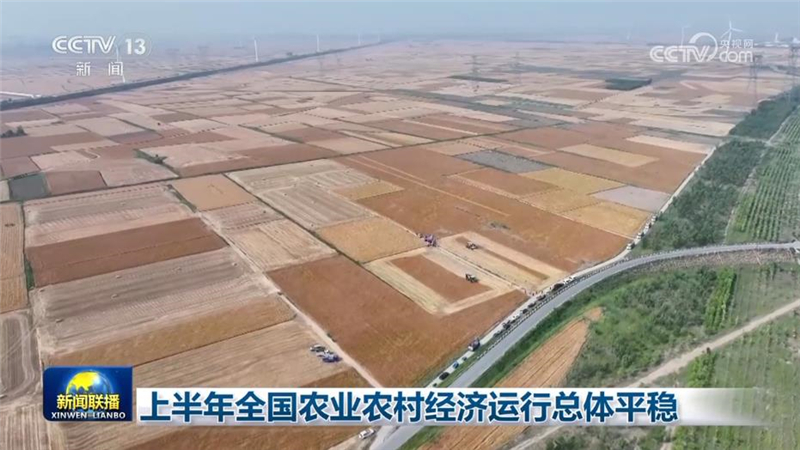 [視頻]上半年全國農業農村經濟運行總體平穩_2025-07-17_19_17_50.jpg