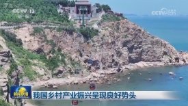 [視頻]我國鄉村產業振興呈現良好勢頭_2025-08-21_19_36_15.jpg